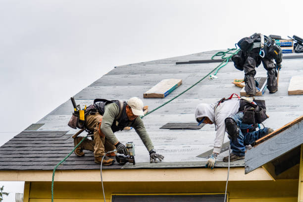Professional Gutter Installation technician working in Pineview, GA